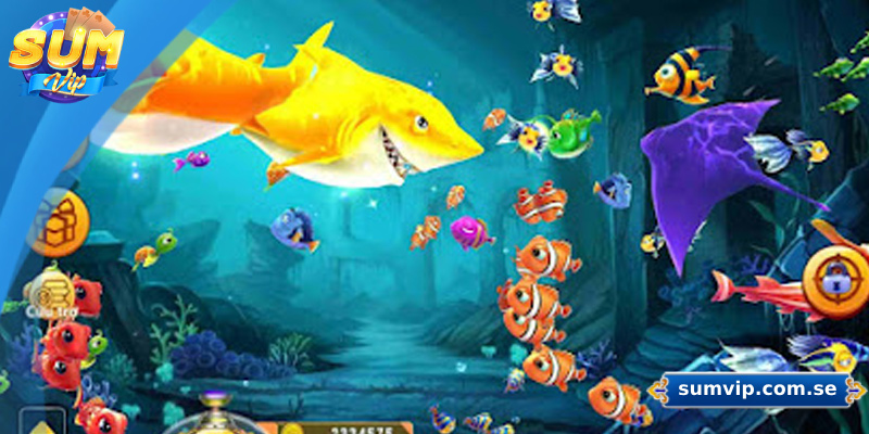 Cách chơi bắn cá hiệu quả