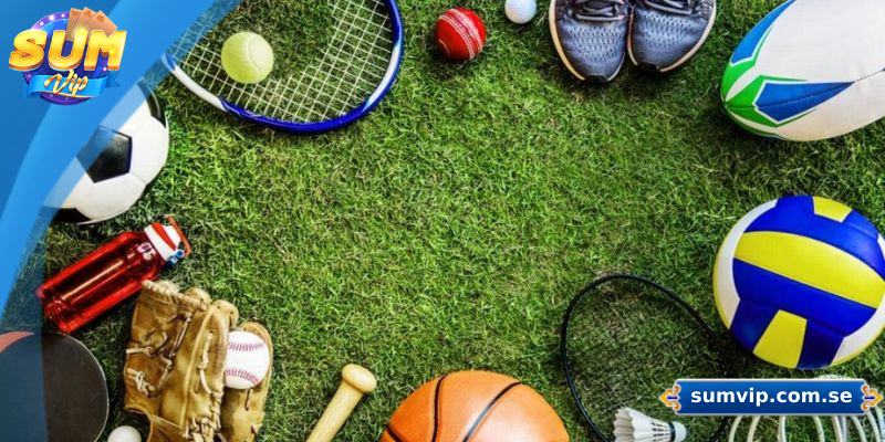 Giới thiệu chung về sảnh thể thao Sumvip