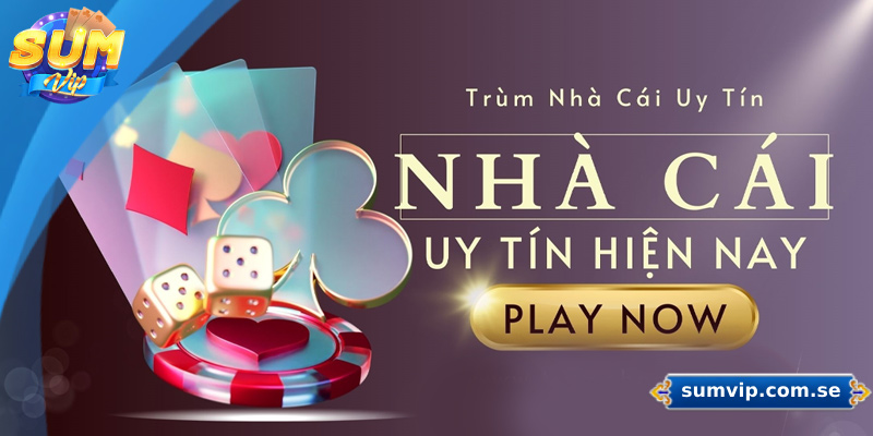 Nhà cái sumvip đáp ứng đủ tiêu chí về độ uy tín và minh bạch