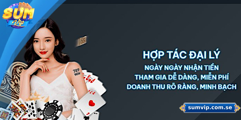 Tìm hiểu chung về đại lý Sumvip